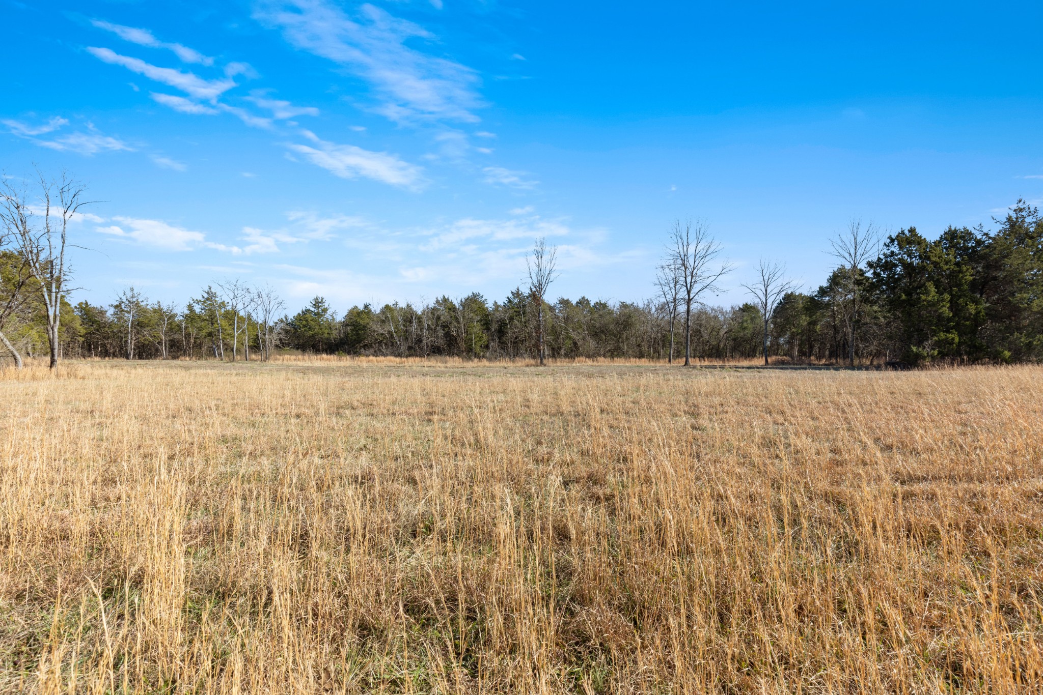 3247 Rucker Road Christiana, TN 37037 - Photo 5 of 14 a view of a lake view