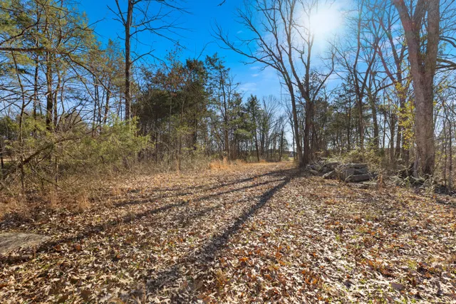 a view of a yard with a tree