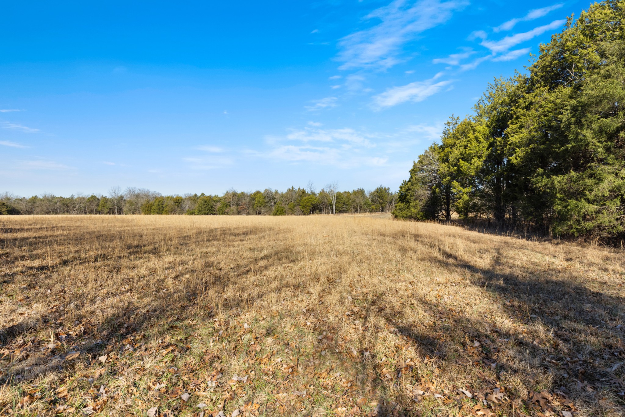 3247 Rucker Road Christiana, TN 37037 - Photo 10 of 14 a view of lake and mountain