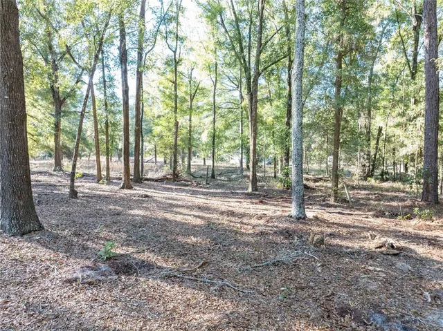 a view of outdoor space with trees