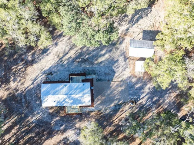 a view of a garden with a tree
