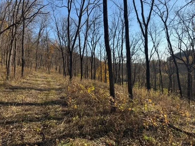 a view of backyard with green space