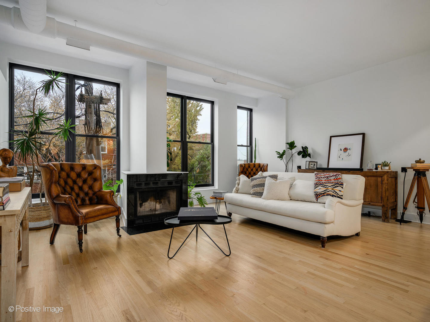 1760 West Wrightwood Avenue, Unit 204 Chicago, IL 60614 - Photo 4 of 28 a living room with furniture and a fireplace