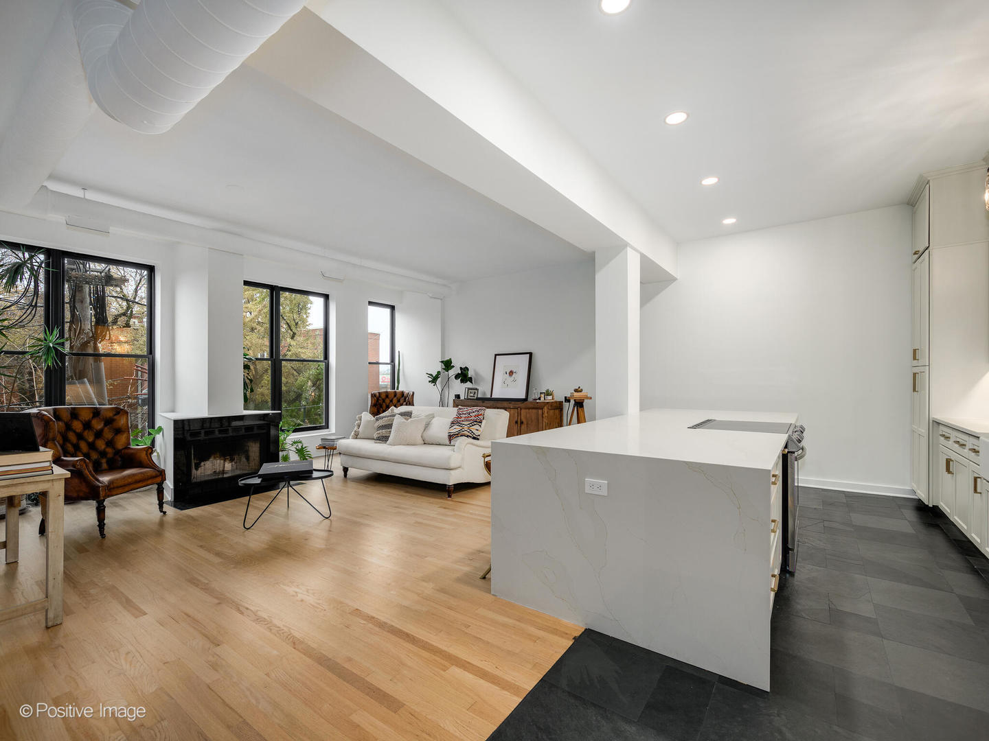 1760 West Wrightwood Avenue, Unit 204 Chicago, IL 60614 - Photo 9 of 28 a living room with furniture and a couch