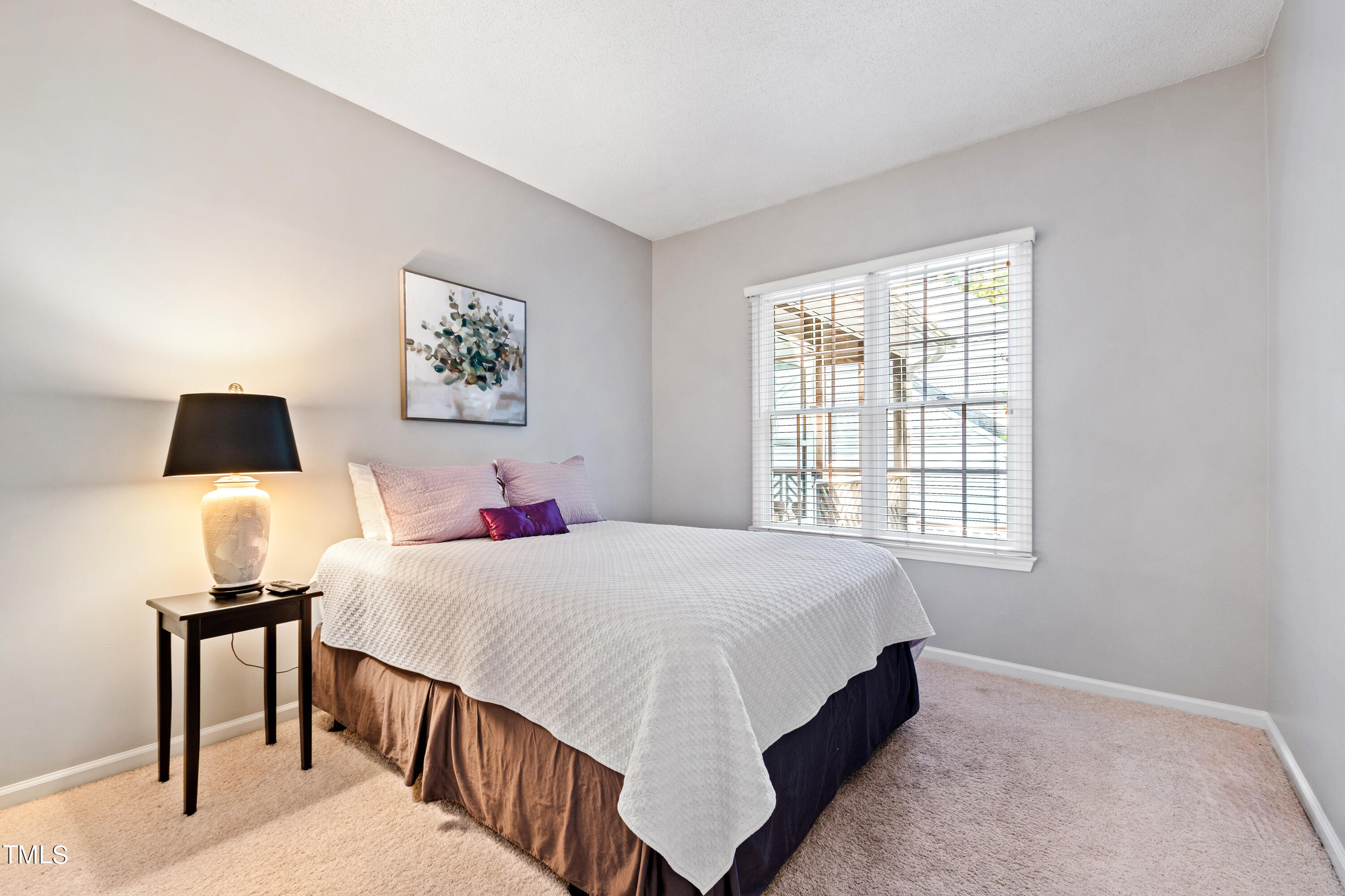 4 Creeks Edge Court Durham, NC 27713 - Photo 28 of 43 bedroom