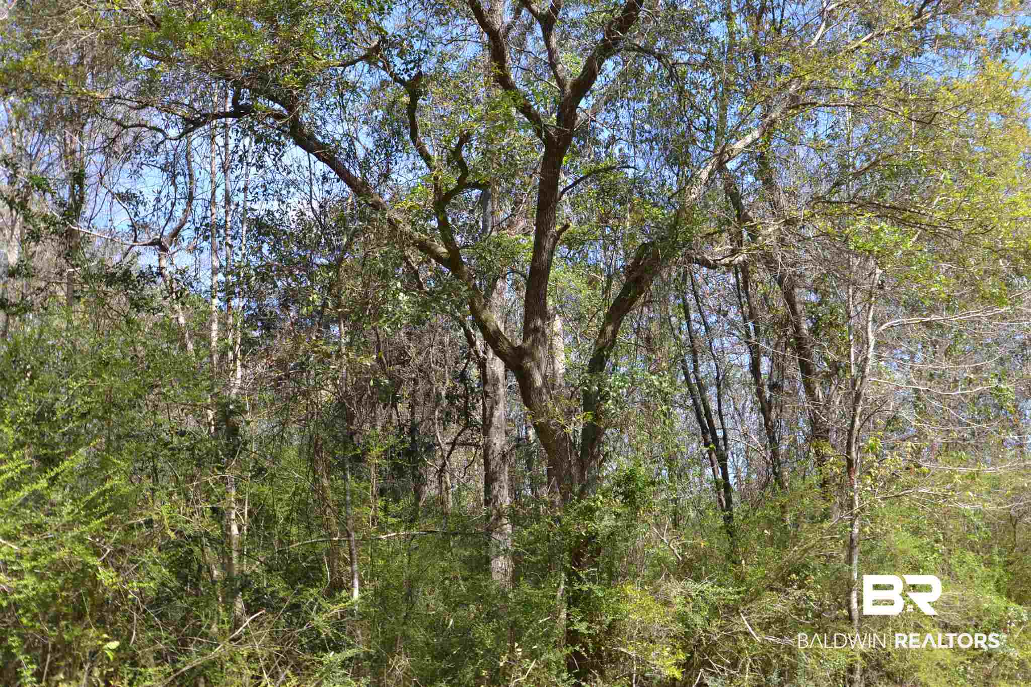 10 Sherwood Highland Road Fairhope, AL 36532 - Photo 1 of 6