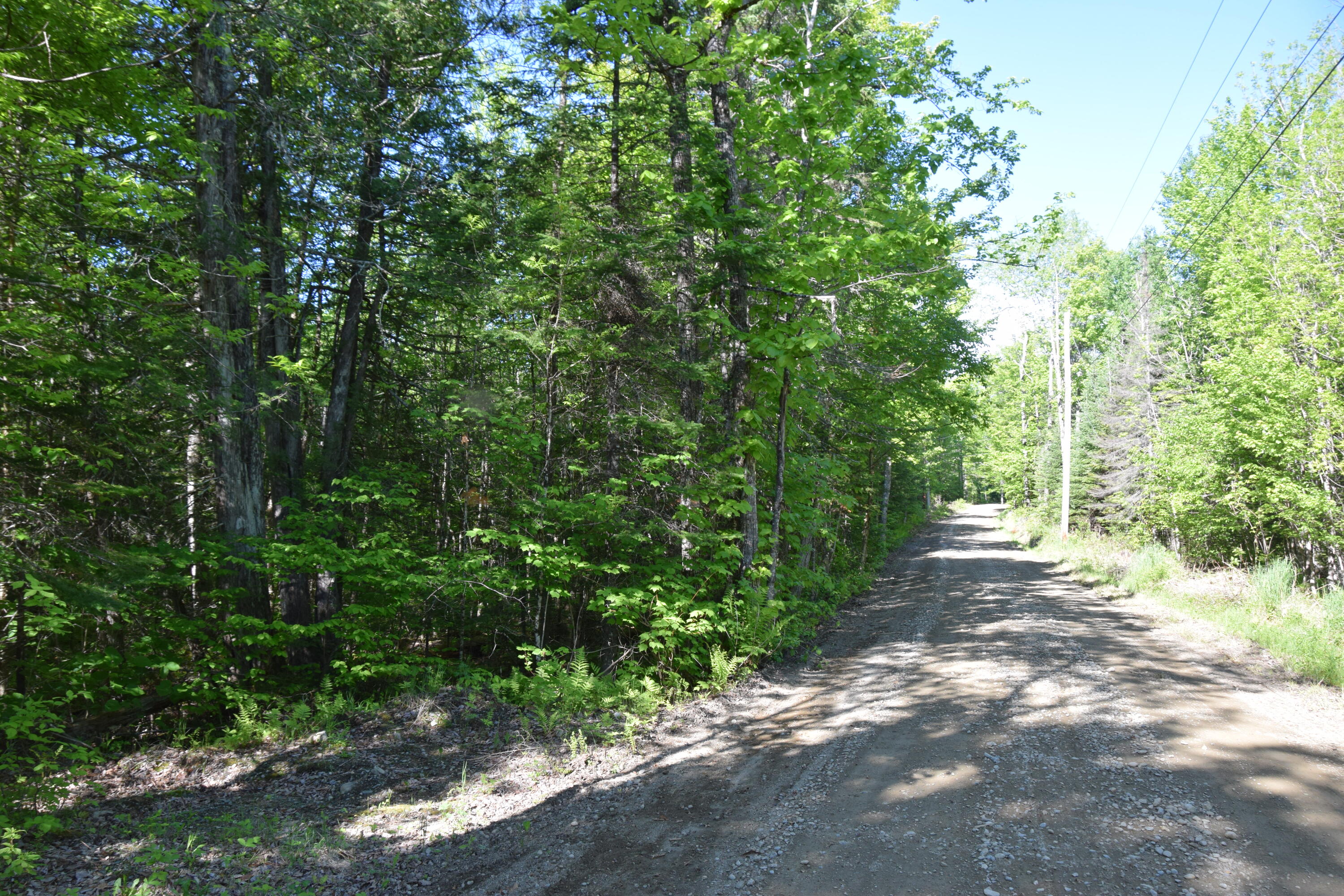 M10-l6-1 Hancock Pond Road New Portland, ME 04961 - Photo 12 of 30 DSC_0010