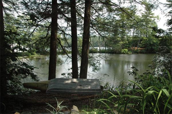 81 Intervale Road Orange, MA 01364 - Photo 5 of 13 a view of a lake with a bench
