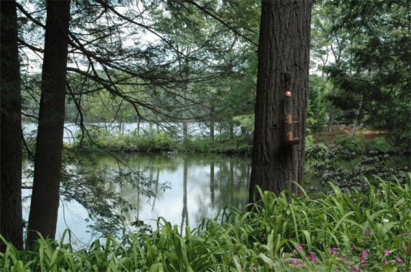 81 Intervale Road Orange, MA 01364 - Photo 8 of 13 a lake view