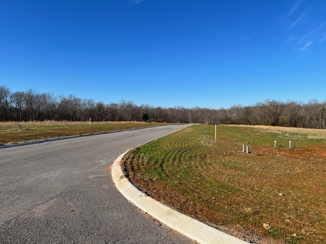 0 Copperas Creek Road Tullahoma, TN 37388 - Photo 3 of 5 Gallery Image 3