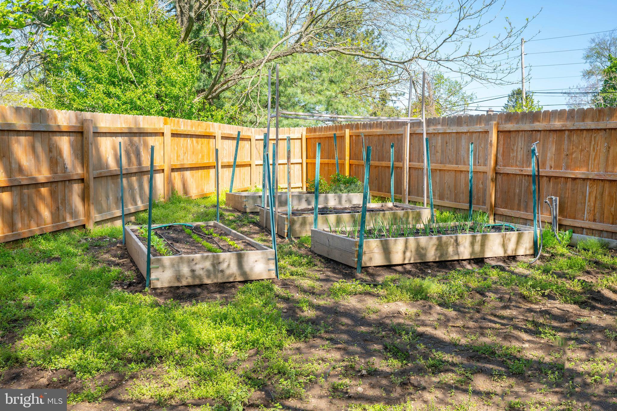 4 Kenwick Road Hockessin, DE 19707 - Photo 40 of 44 Grow your own vegetables.