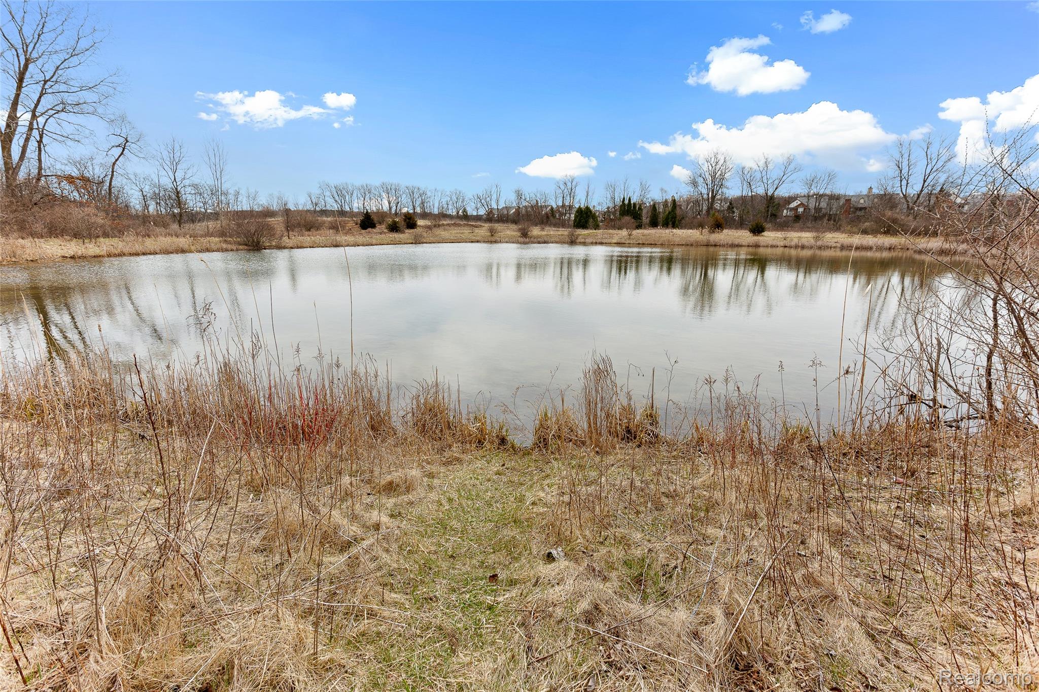 3553 Oakmonte Boulevard Rochester, MI 48306 - Photo 35 of 42 Natural pond with surrounding dry grasses and mature deciduous trees