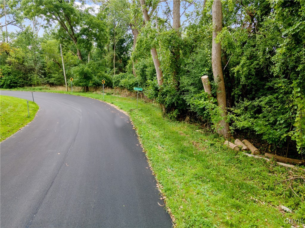 0 Mcalpine Street Syracuse, NY 13208 - Photo 11 of 15