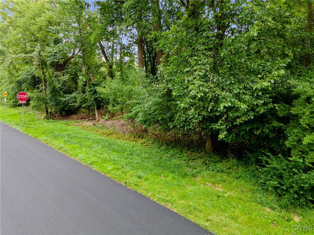 0 Mcalpine Street Syracuse, NY 13208 - Photo 13 of 15