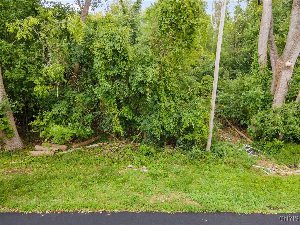 0 Mcalpine Street Syracuse, NY 13208 - Photo 15 of 15