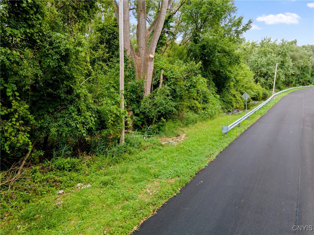 0 Mcalpine Street Syracuse, NY 13208 - Photo 10 of 15