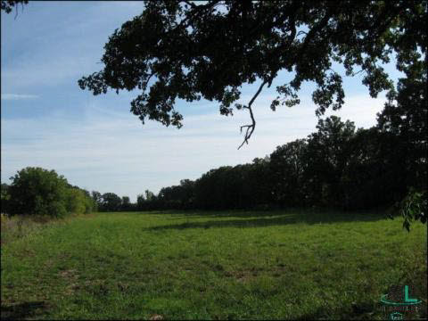 6000 30 Mile Road Washington, MI 48095 - Photo 5 of 9 908470-4.JPG