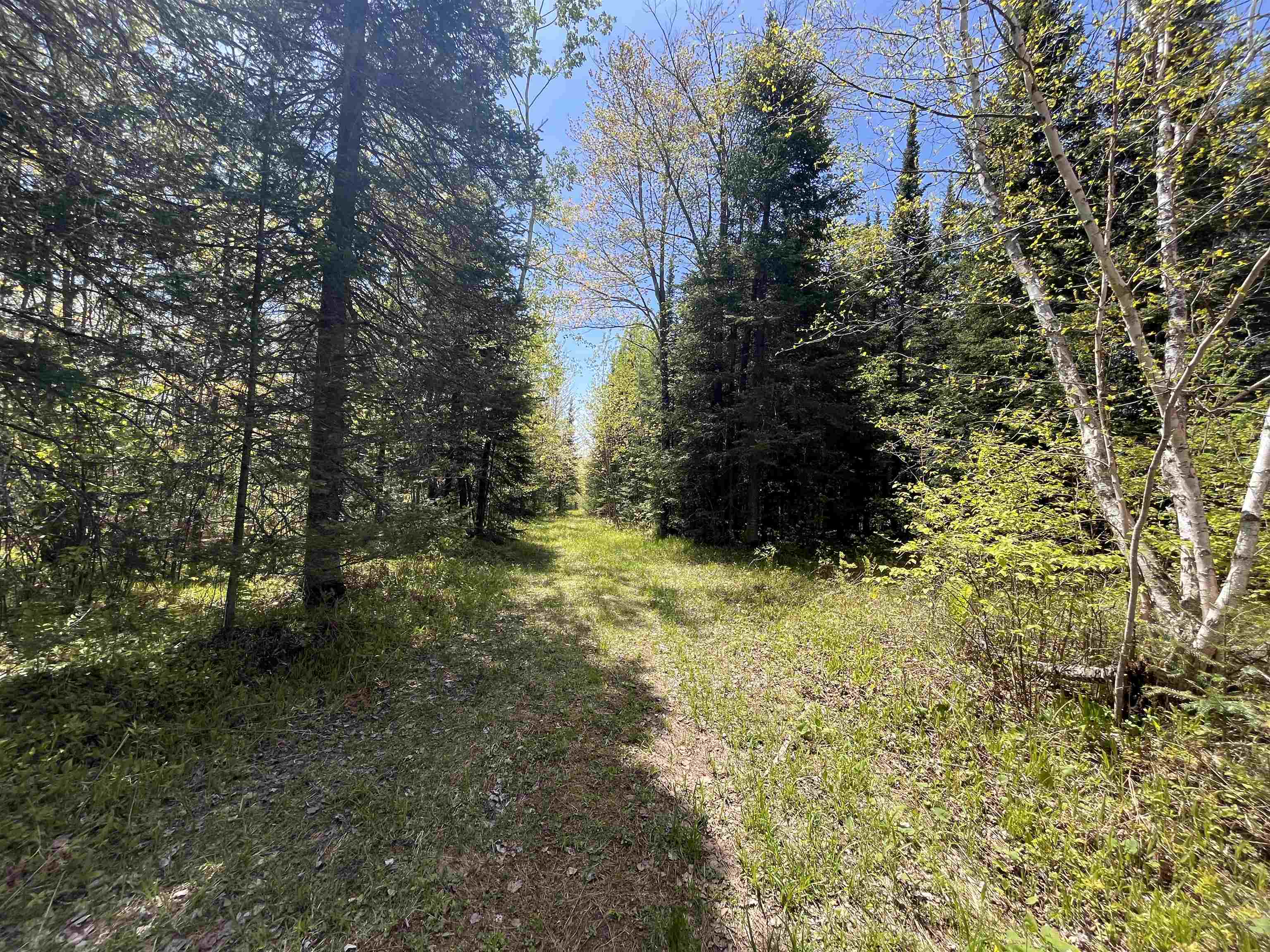 80-acres 80-acres Clausen Road Prentice, WI 54556 - Photo 6 of 17