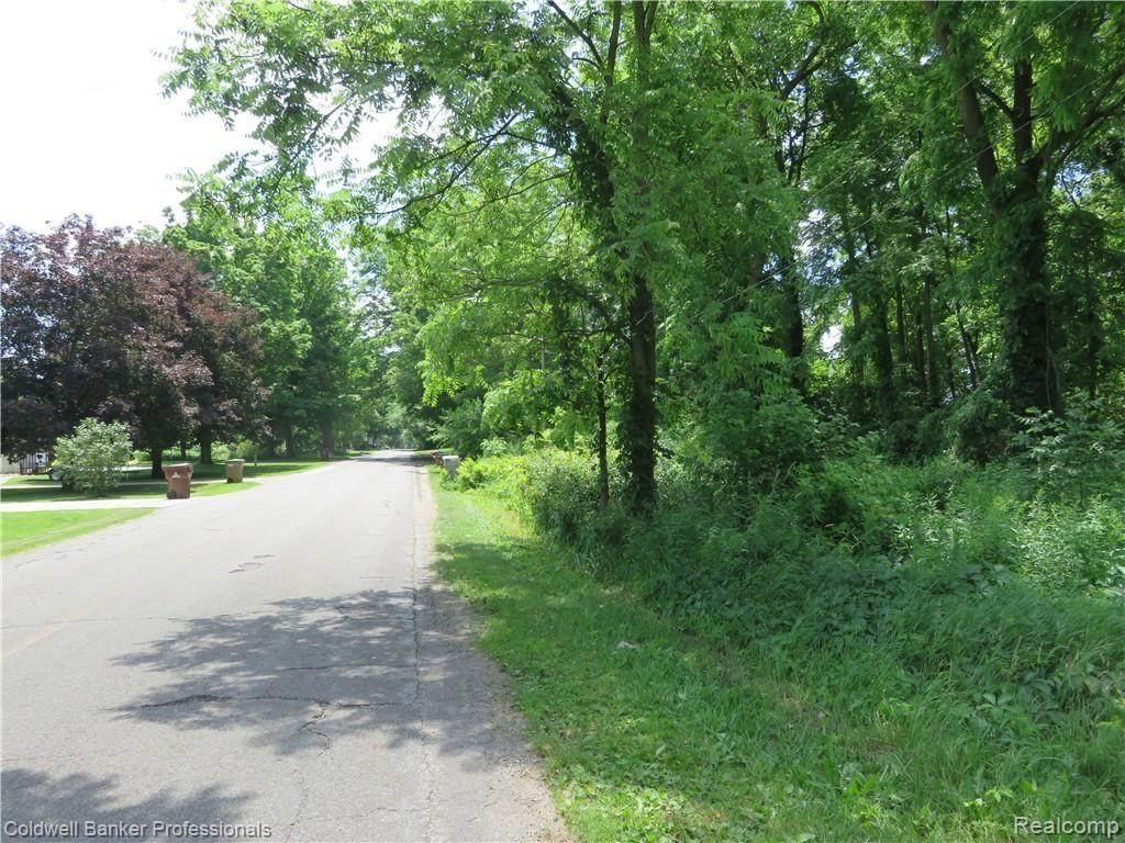0 South Morrice Road Morrice, MI 48857 - Photo 5 of 7