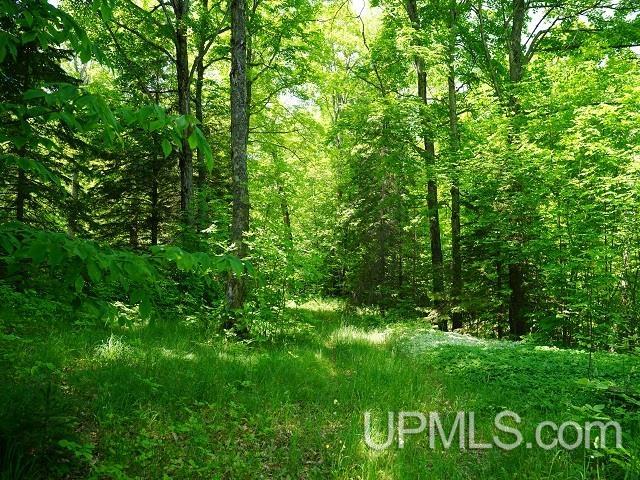 19110 West Diller Road Germfask, MI 49836 - Photo 15 of 28