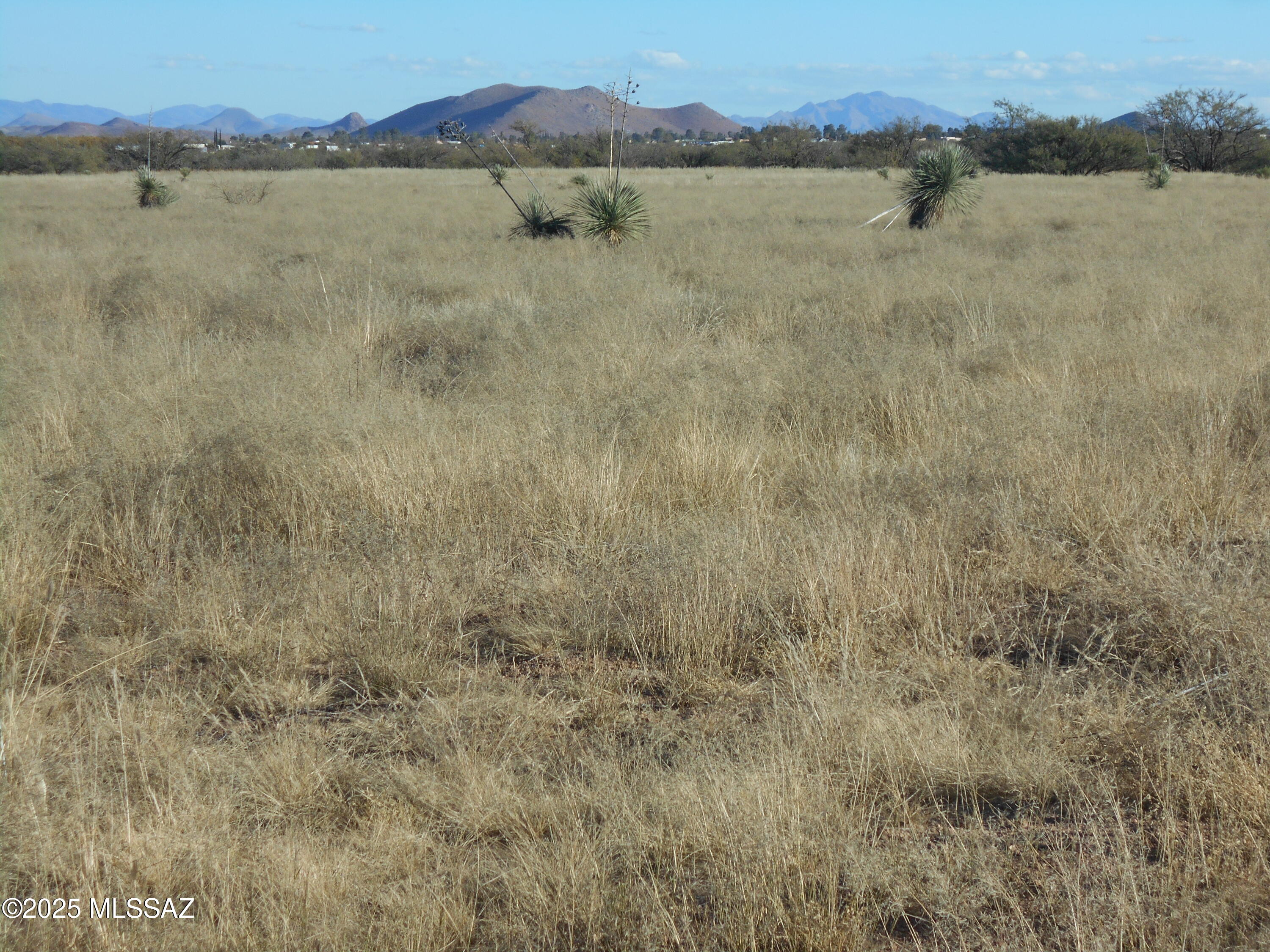 4.25-acres Eastland Road, Unit 8 Cochise, AZ 85606 - Photo 4 of 35