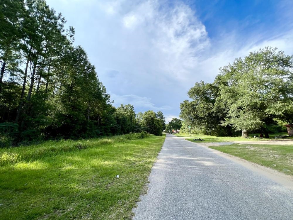0 Country Road Mount Vernon, AL 36560 - Photo 3 of 15