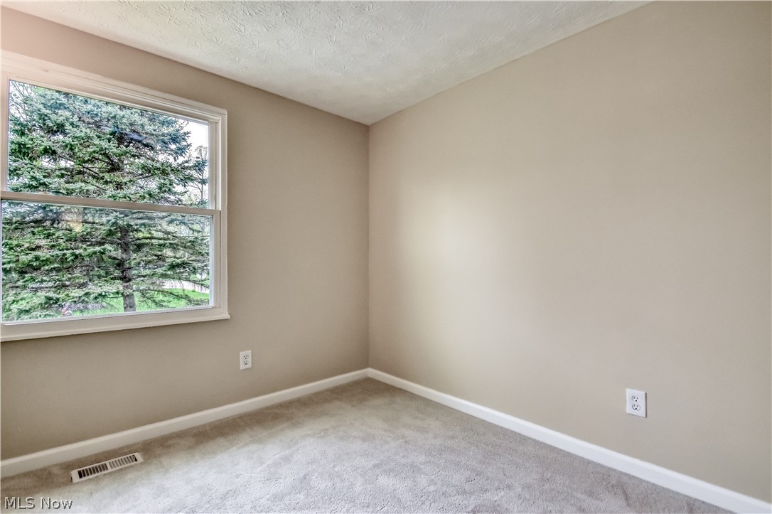 6996 Roe Boulevard Madison, OH 44057 - Photo 21 of 38