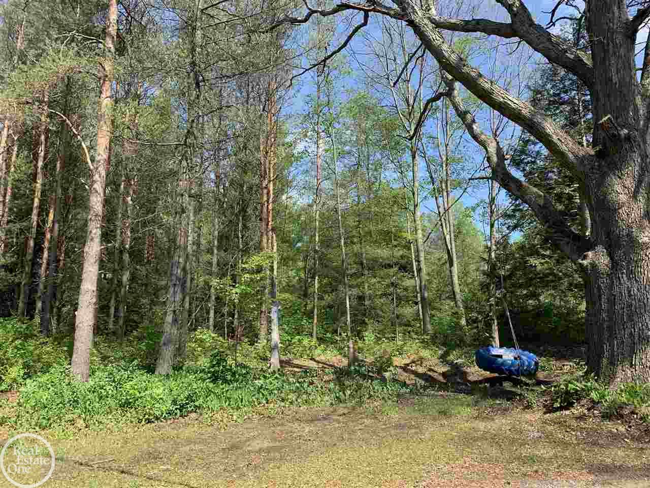 6468 Rynn Road North Street, MI 48049 - Photo 5 of 59