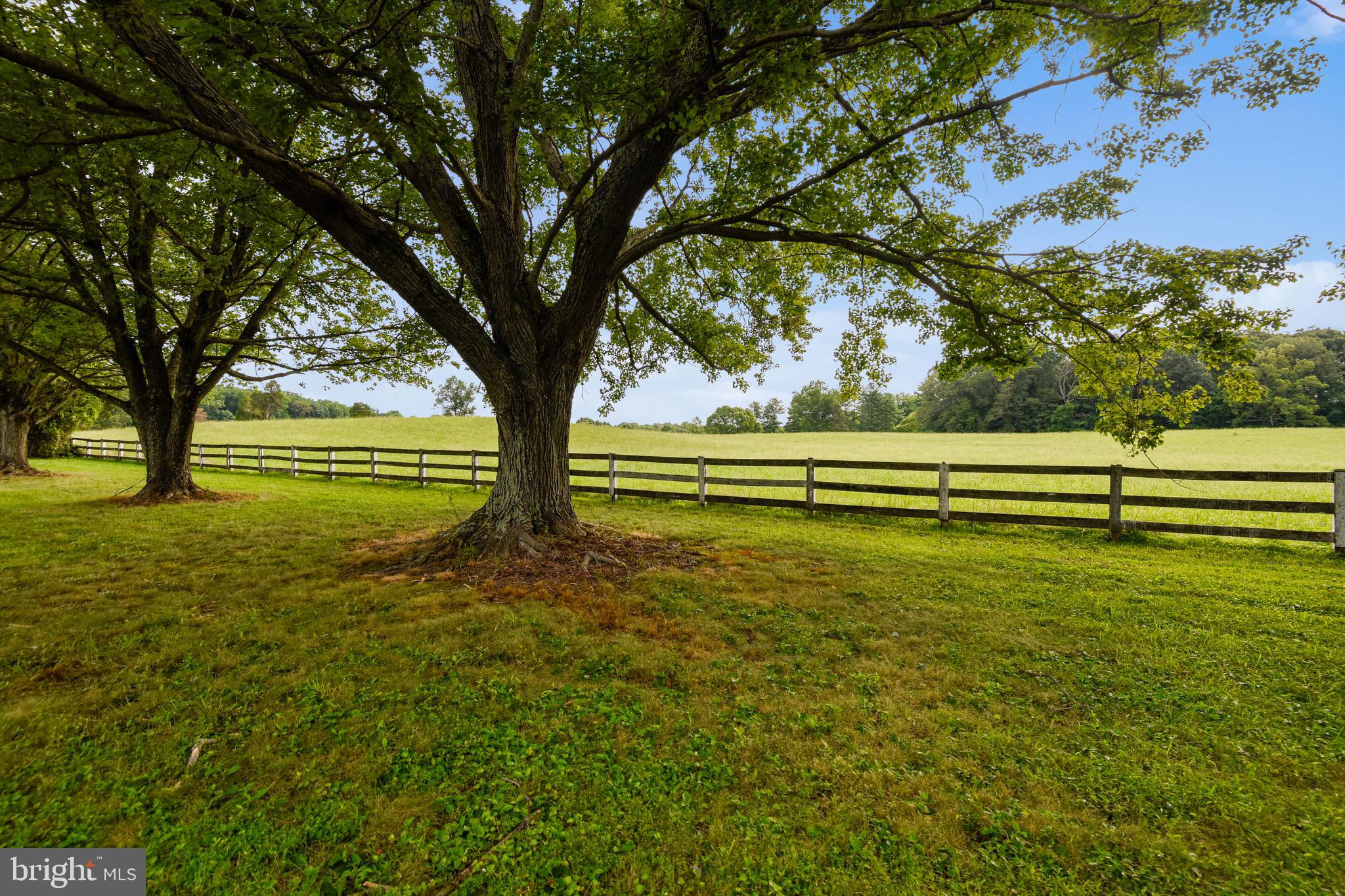 6405 Stallion Road Clifton, VA 20124 - Photo 11 of 58 Gallery Image 11