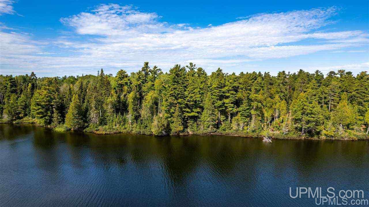 Lots 12-and 13 Lake Lily Road Mohawk, MI 49918 - Photo 1 of 27