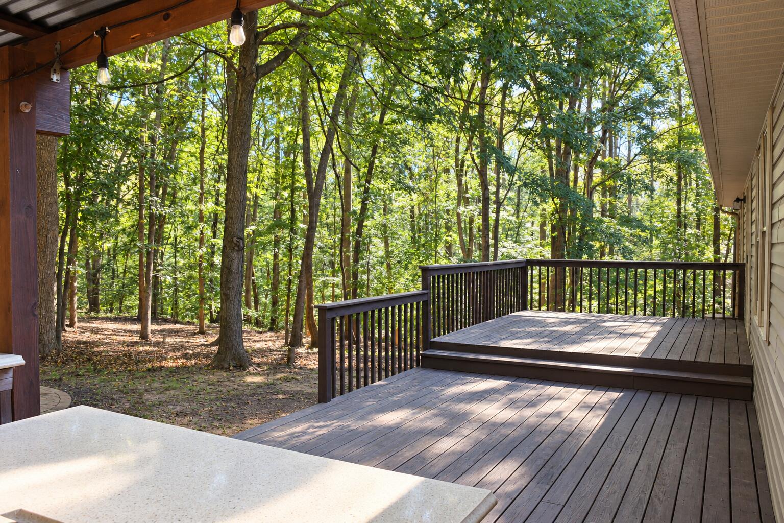 3315 Scruggs Road Moneta, VA 24121 - Photo 23 of 24 Large Deck