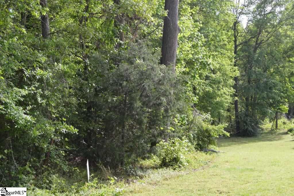 Fruit Mountain Road Easley, SC 29640 - Photo 3 of 19