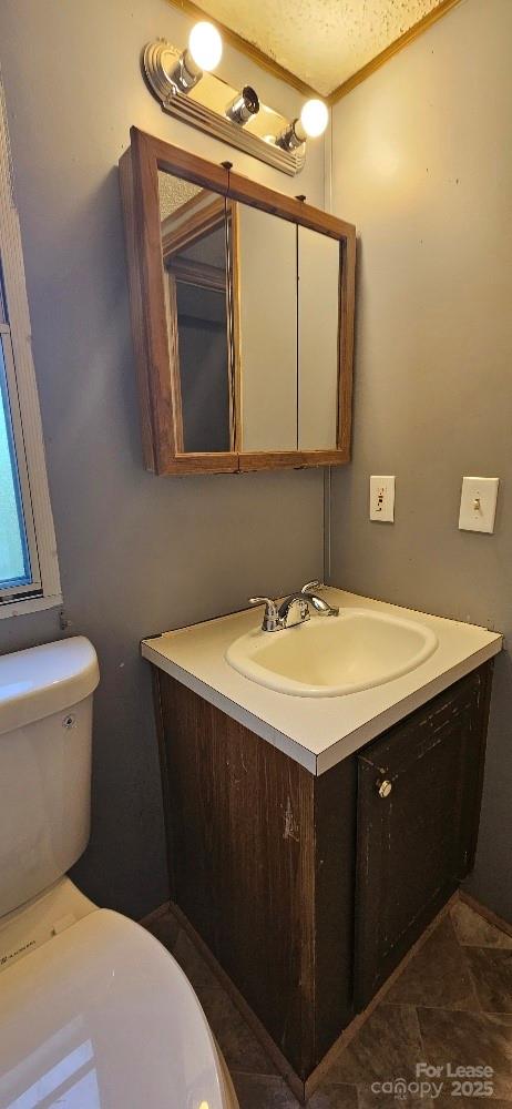 3129 Cedarvale Road Rock Hill, SC 29732 - Photo 16 of 17 a bathroom with a sink a toilet and mirror