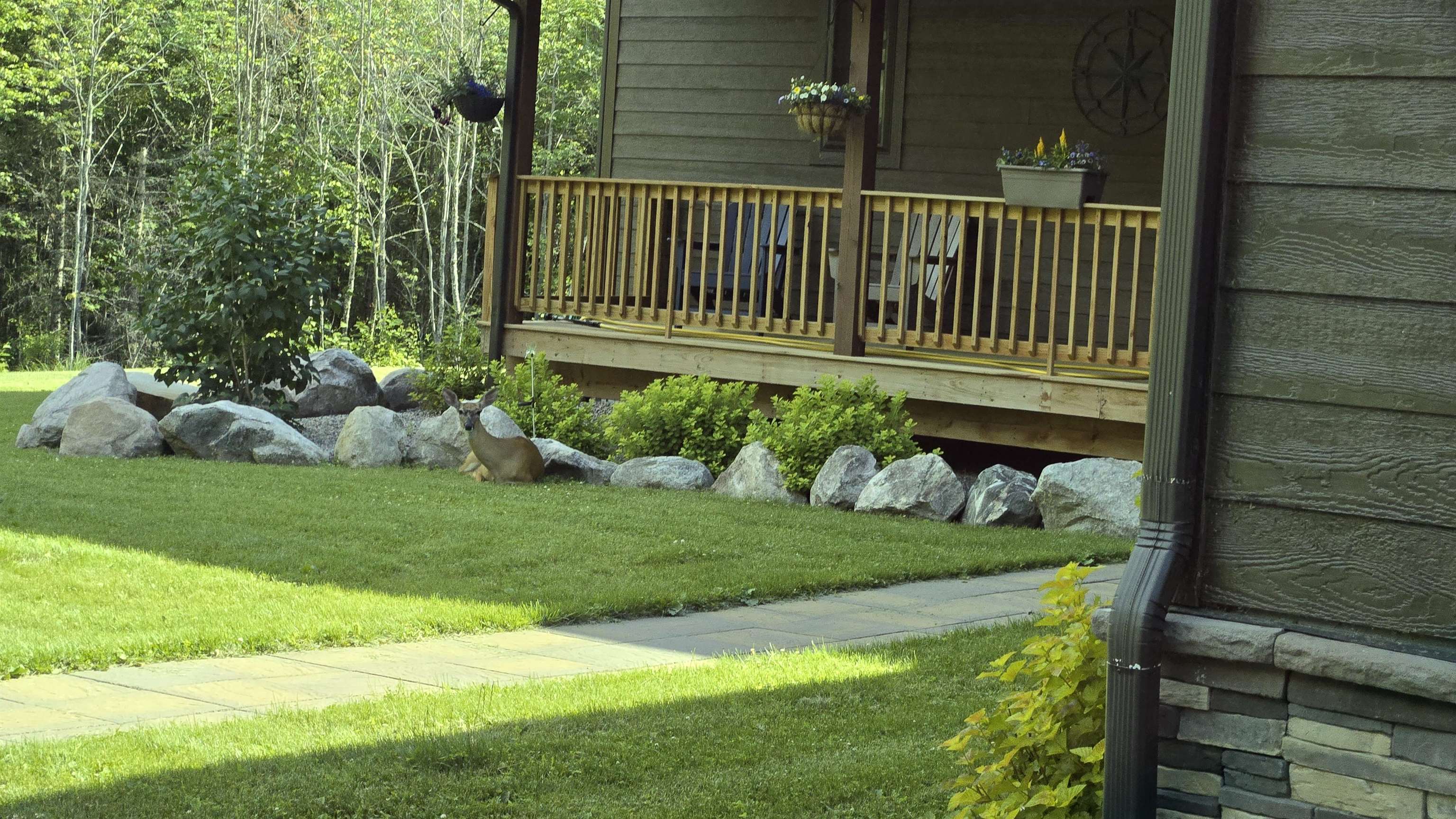 7523 Nelson Road Crane Lake, MN 55725 - Photo 11 of 50 View of grassy yard featuring a wooden deck