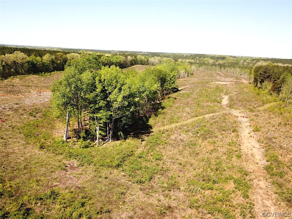 88-acres Meherrin River Road Brodnax, VA 23920 - Photo 11 of 40