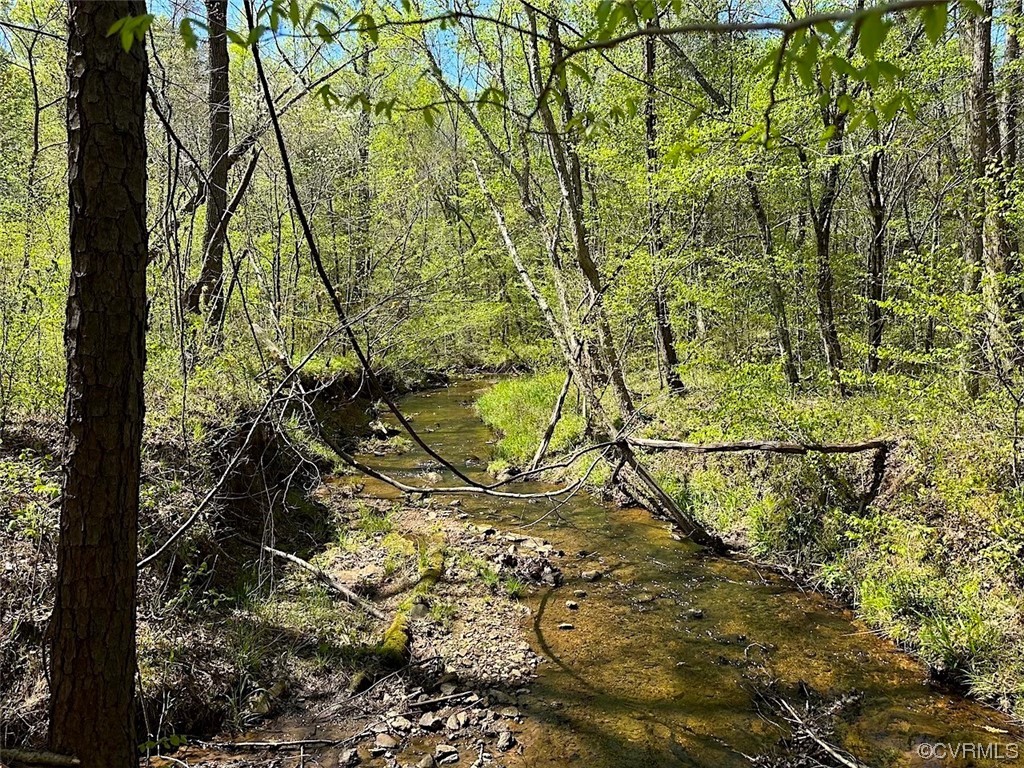 88-acres Meherrin River Road Brodnax, VA 23920 - Photo 12 of 40 a view of a yard