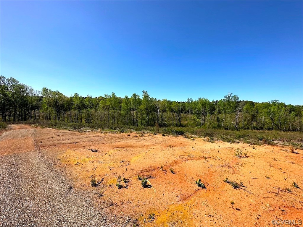 88-acres Meherrin River Road Brodnax, VA 23920 - Photo 13 of 40 a view of a yard with trees