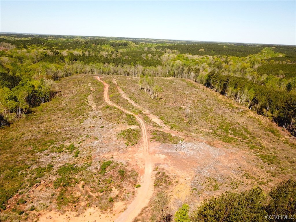88-acres Meherrin River Road Brodnax, VA 23920 - Photo 16 of 40 a view of an ocean