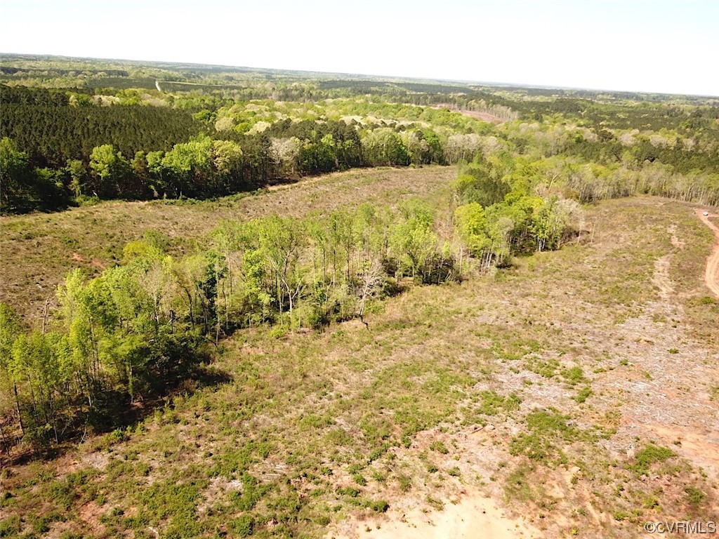 88-acres Meherrin River Road Brodnax, VA 23920 - Photo 17 of 40 a view of an ocean