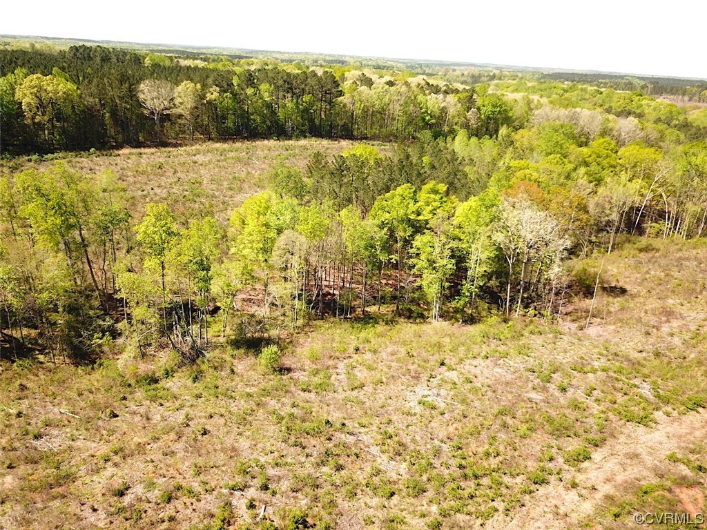 88-acres Meherrin River Road Brodnax, VA 23920 - Photo 19 of 40 a view of lake view