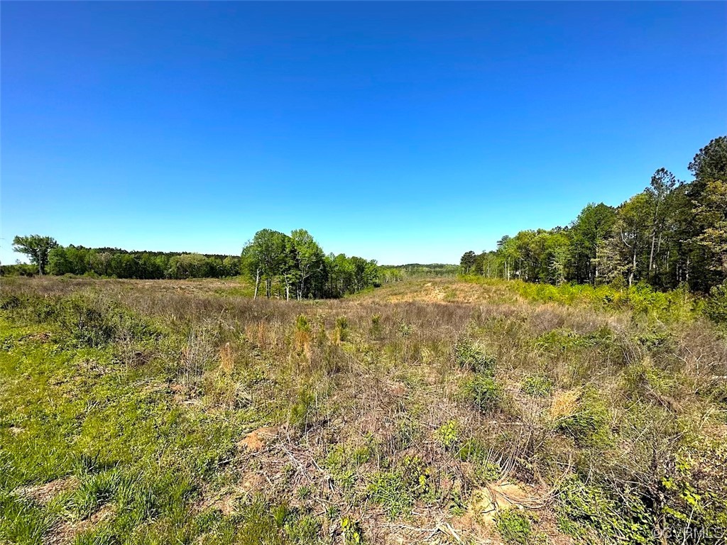 88-acres Meherrin River Road Brodnax, VA 23920 - Photo 20 of 40 a view of lake and mountain