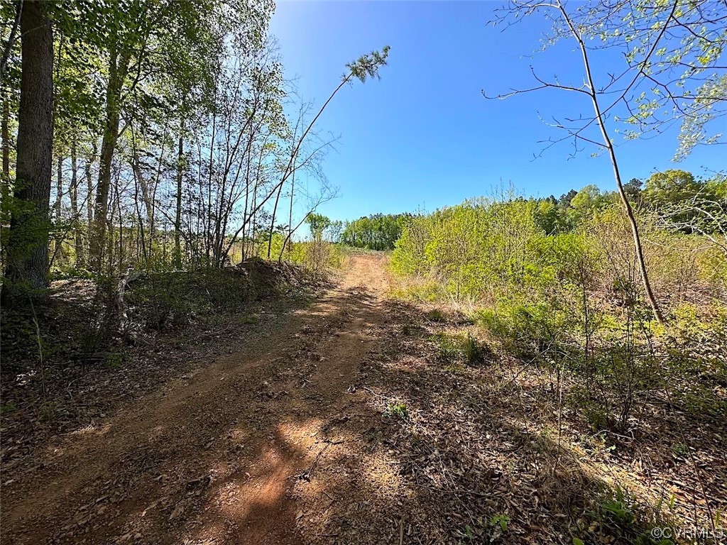 88-acres Meherrin River Road Brodnax, VA 23920 - Photo 26 of 40 a view of mountain view with lots of trees