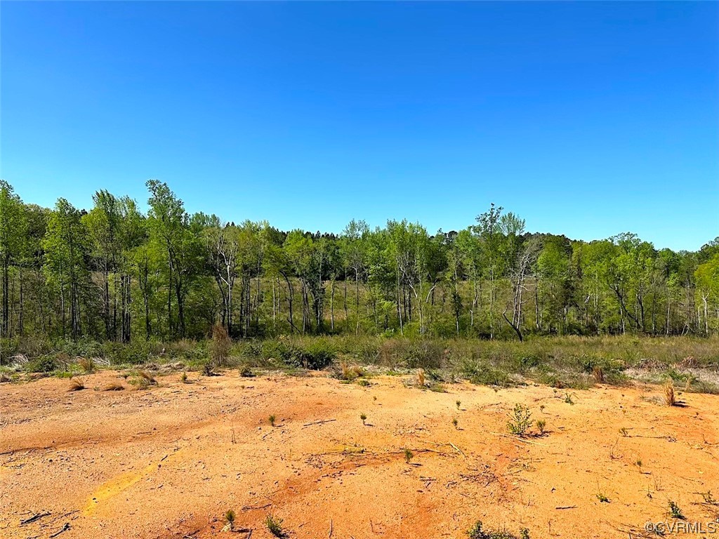 88-acres Meherrin River Road Brodnax, VA 23920 - Photo 28 of 40 a view of a yard with a tree