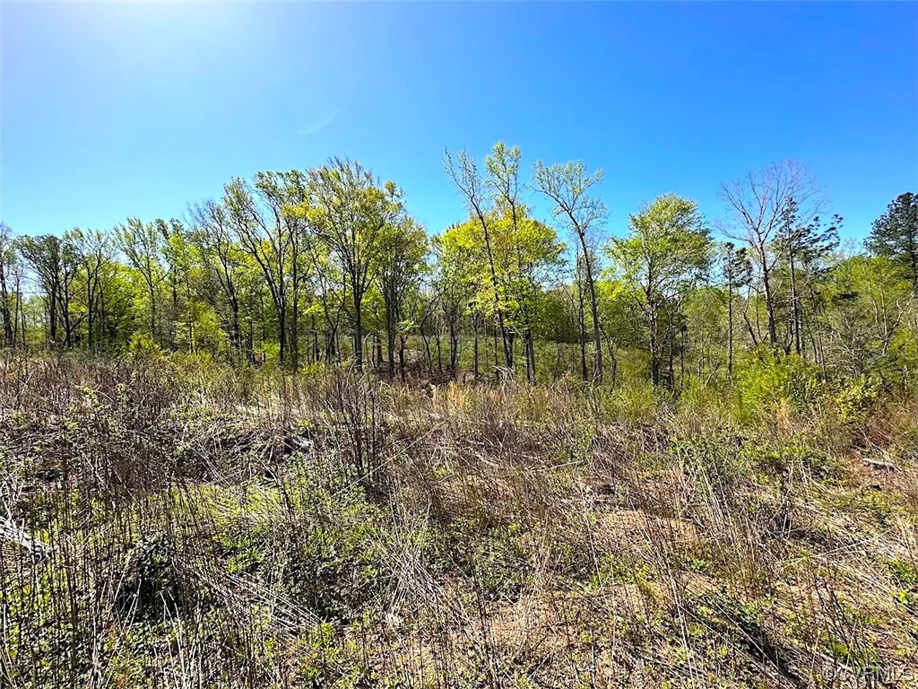 88-acres Meherrin River Road Brodnax, VA 23920 - Photo 32 of 40 a view of lake