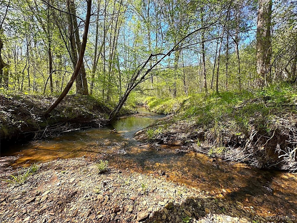 88-acres Meherrin River Road Brodnax, VA 23920 - Photo 35 of 40 a view of yard