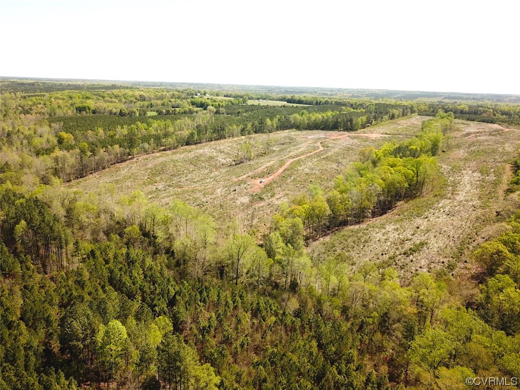 88-acres Meherrin River Road Brodnax, VA 23920 - Photo 4 of 40 a view of an ocean from a city