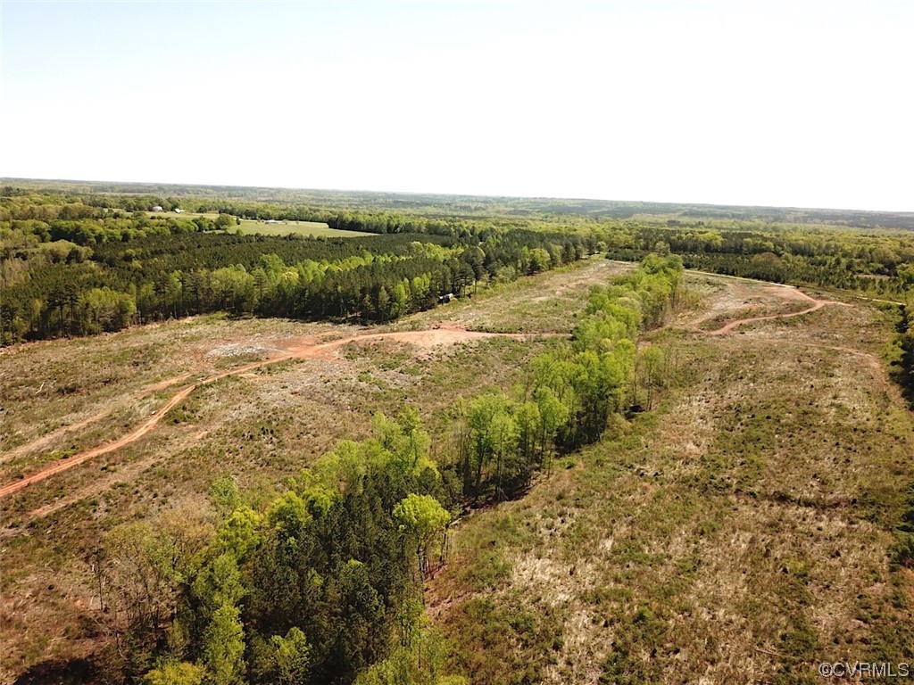 88-acres Meherrin River Road Brodnax, VA 23920 - Photo 5 of 40 an aerial view of beach