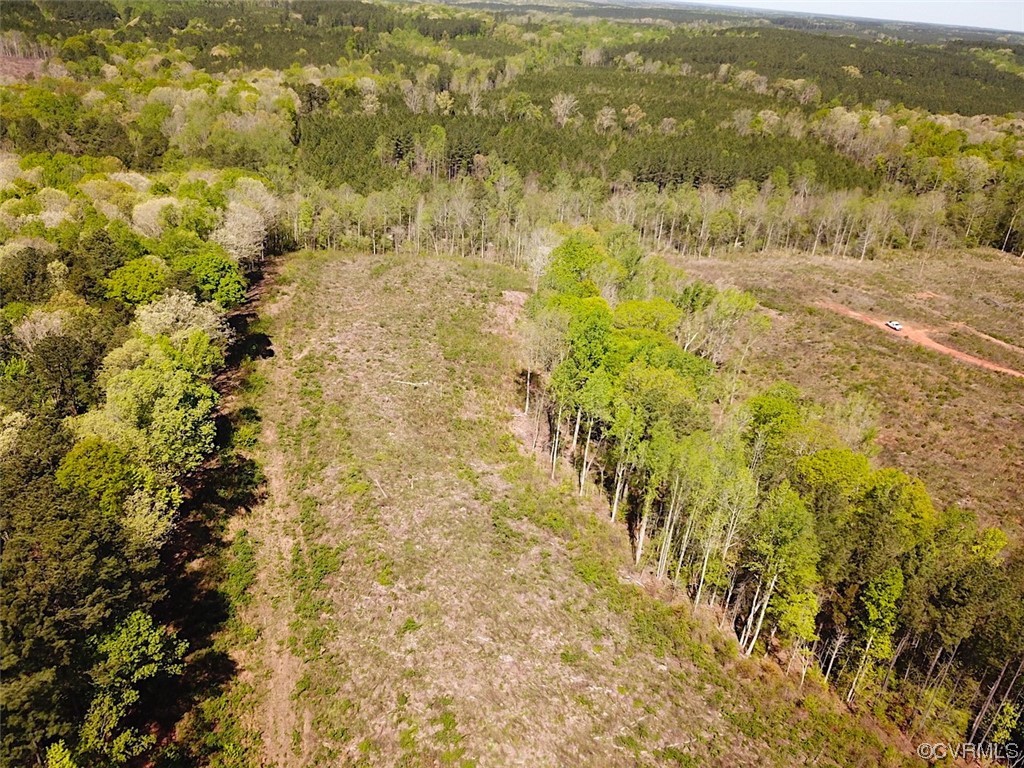 88-acres Meherrin River Road Brodnax, VA 23920 - Photo 6 of 40