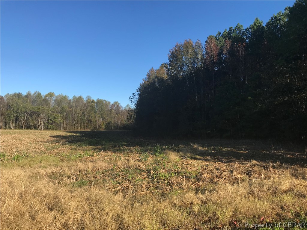 0 Pampa Road Gloucester, VA 23061 - Photo 4 of 8 Gallery Image 4