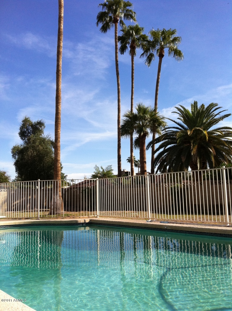 7635 West Wagoner Road Glendale, AZ 85308 - Photo 3 of 20 pool